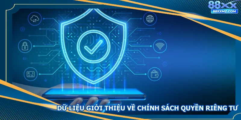 Khái quát dữ liệu giới thiệu về chính sách quyền riêng tư