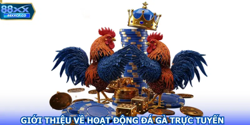 Giới thiệu về hoạt động Đá gà trực tuyến